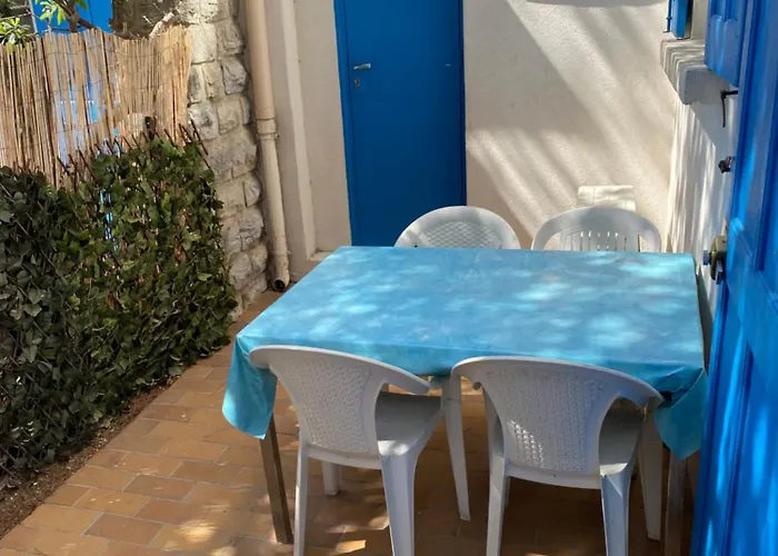 Les Pieds Dans L Eau Au Grand Sud *