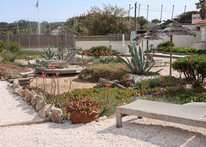 Lejlighed Les Pieds Dans L Eau Au Grand Sud Hyères