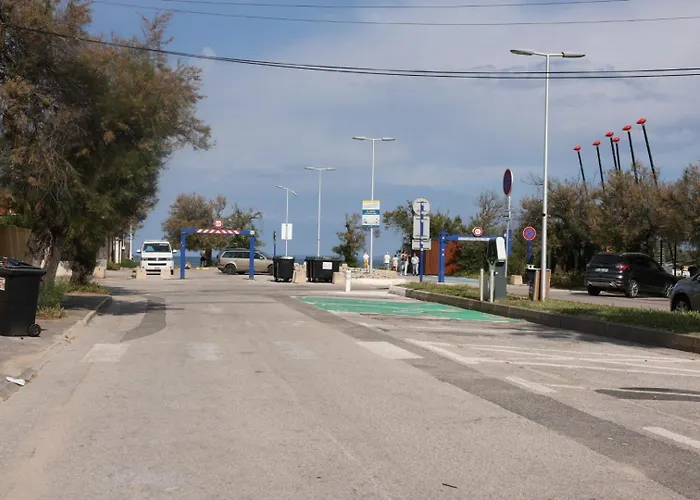Les Pieds Dans L Eau Au Grand Sud Hyères